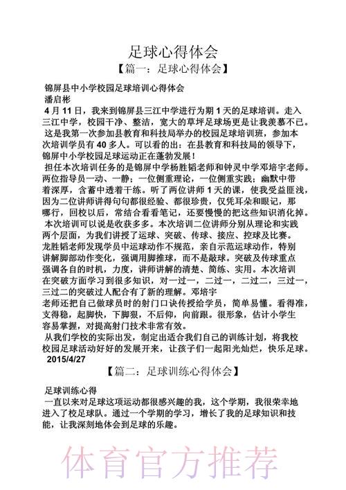 世界杯滚球赛事复盘与心得交流